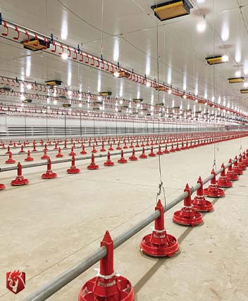 untitled 1 untitled 1