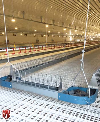 untitled 1 untitled 1