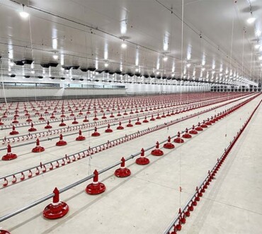 Broiler Floor Raising System