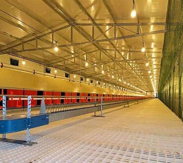 Cage-Free Floor Raising Equipment