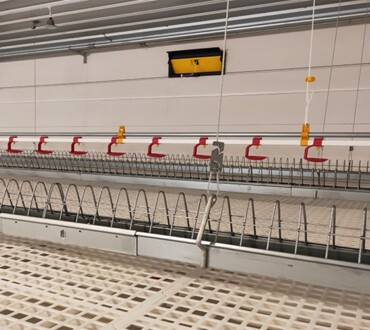 Jinghai Poultry Industry